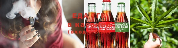 стаф Зерноград