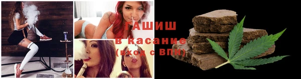 стаф Зерноград
