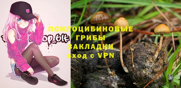 стаф Зерноград