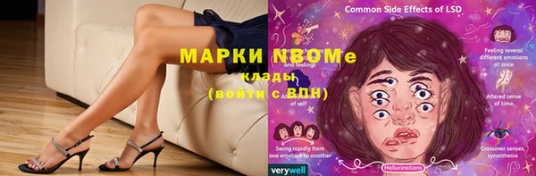 стаф Зерноград