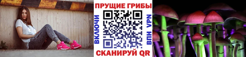 Купить  Дудинка  Псилоцибиновые грибы ЛСД 